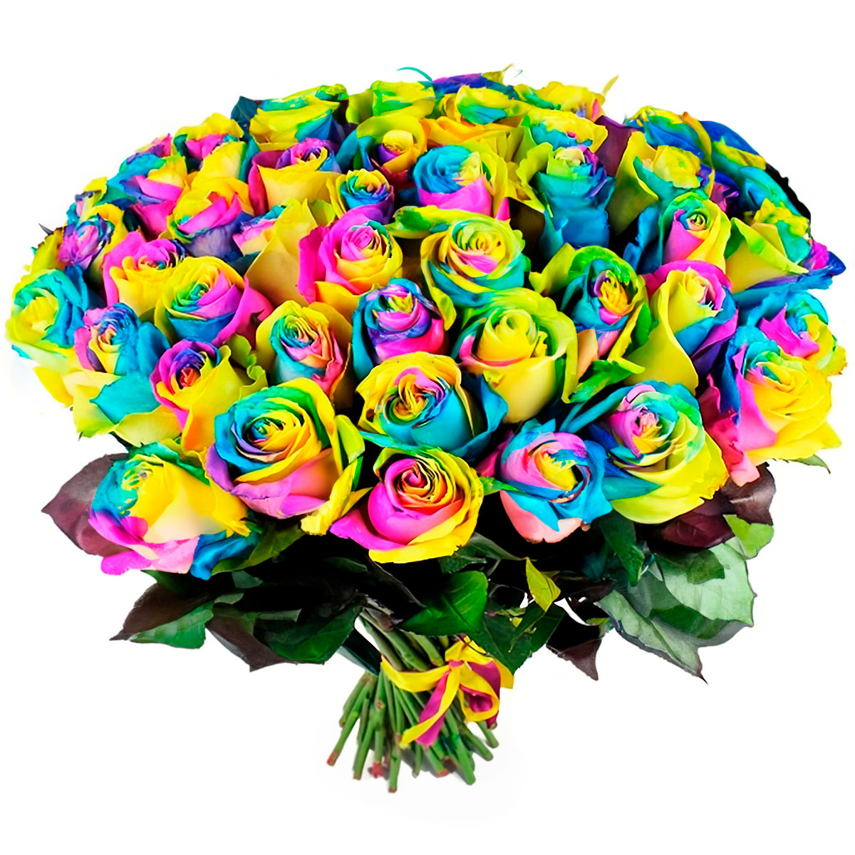 Розы Эквадор радужные